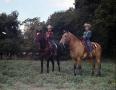 Photograph: [Young Boys riding horses]