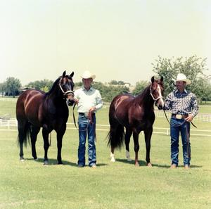 Primary view of object titled '[Shorty And Bill Freeman With Horses]'.