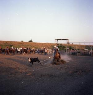 Primary view of object titled '[Man Roping Calf at NTCHA Finals]'.