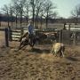 Photograph: [Jim Carr on Horse in Cow Pen]