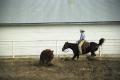 Photograph: [Jimbo Todo Riding Horse in Cow Pen]