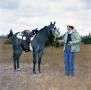 Primary view of [Horse on Mike Hughes Ranch]