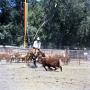 Thumbnail image of item number 1 in: '[Man Riding Horse at Colorado State Fair]'.
