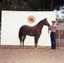 Thumbnail image of item number 1 in: '[Turner with Horse at Colorado State Fair]'.