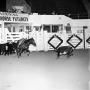 Primary view of [Man at NCHA Futurity]