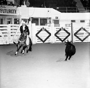 Primary view of [Participant at NCHA Futurity]