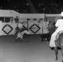 Photograph: [A Captivating Equestrian Tale: Cowboys' Spirited Pursuit at the Nati…