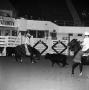 Photograph: [A Captivating Freeze Frame: Cowboys' Rhythmic Ballet with Horses at …