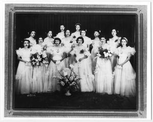 Primary view of object titled '[Fourteen Club Terpsicore members posing with flowers]'.