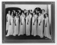 Primary view of [Fourteen Club Terpsicore members in long dresses]