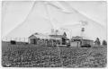 Photograph: Old Danevang Farmers Coop Picture