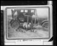Photograph: [Morning Kill Hanging From an Automobile After a Hunt]