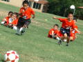 Photograph: [Boys engage in soccer drills]