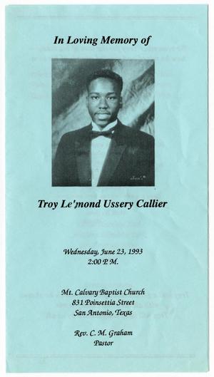Primary view of object titled '[Funeral Program for Troy Ussery Callier, June 23, 1993]'.