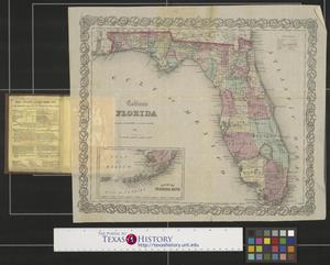 Primary view of object titled 'Colton's Florida.'.