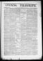 Primary view of Evening Telegraph (Houston, Tex.), Vol. 36, No. 96, Ed. 1 Wednesday, July 20, 1870