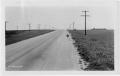 Photograph: [Photograph of Road in Williamson County]