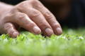Photograph: [Hand touching micro vegetables]