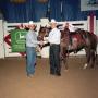 Photograph: Cutting Horse Competition: Image 1991_D-245_01