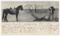 Primary view of [Postcard from Rose Chamberlin to Ora Osterhout, October 7, 1908]