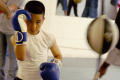 Photograph: [Boy in blue and white boxing gloves]