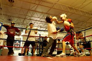 Primary view of object titled '[Two young men boxing in practice facility]'.