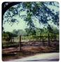 Primary view of [Qualia Winery - a - Hudson Drive]