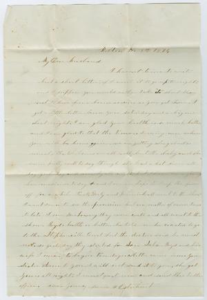 Primary view of object titled '[Letter from Junia Roberts Osterhout to John Patterson Osterhout, November 4, 1874]'.