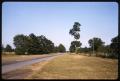 Photograph: [Highway in Anderson County]