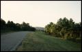 Photograph: [Photograph of Anderson County Farm Road]