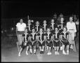 Photograph: [Palestine High School Girls Softball Team]