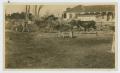 Thumbnail image of item number 1 in: '[Cattle at Butler Ranch Headquarters]'.