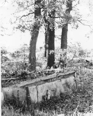 Primary view of object titled 'Abandoned Chest at Shady Grove School Site'.