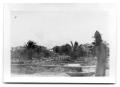 Thumbnail image of item number 1 in: '[Photograph of Park After Hurricane]'.