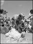 Photograph: [Cruz Marquez Sheep Shearing]