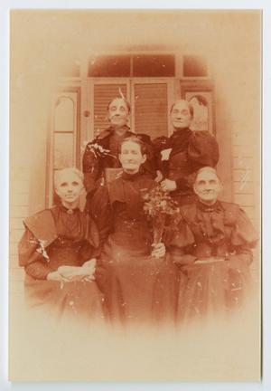 Primary view of object titled '[The Sleeper Family Women]'.
