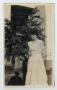 Thumbnail image of item number 1 in: '[Nannie Evans Standing Outdoors]'.