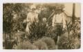 Photograph: [William Beck and Others in a Garden]