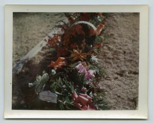 Primary view of object titled '[Grave Site for Wendell Lee Tarver]'.