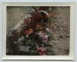 Thumbnail image of item number 1 in: '[Grave Site for Wendell Lee Tarver]'.