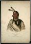 Thumbnail image of item number 1 in: '"Esh-Tah-Hum-Leah, or the Sleepy Eye:  A Sioux Chief'.