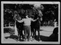 Photograph: [Soloman Falls with Horses]