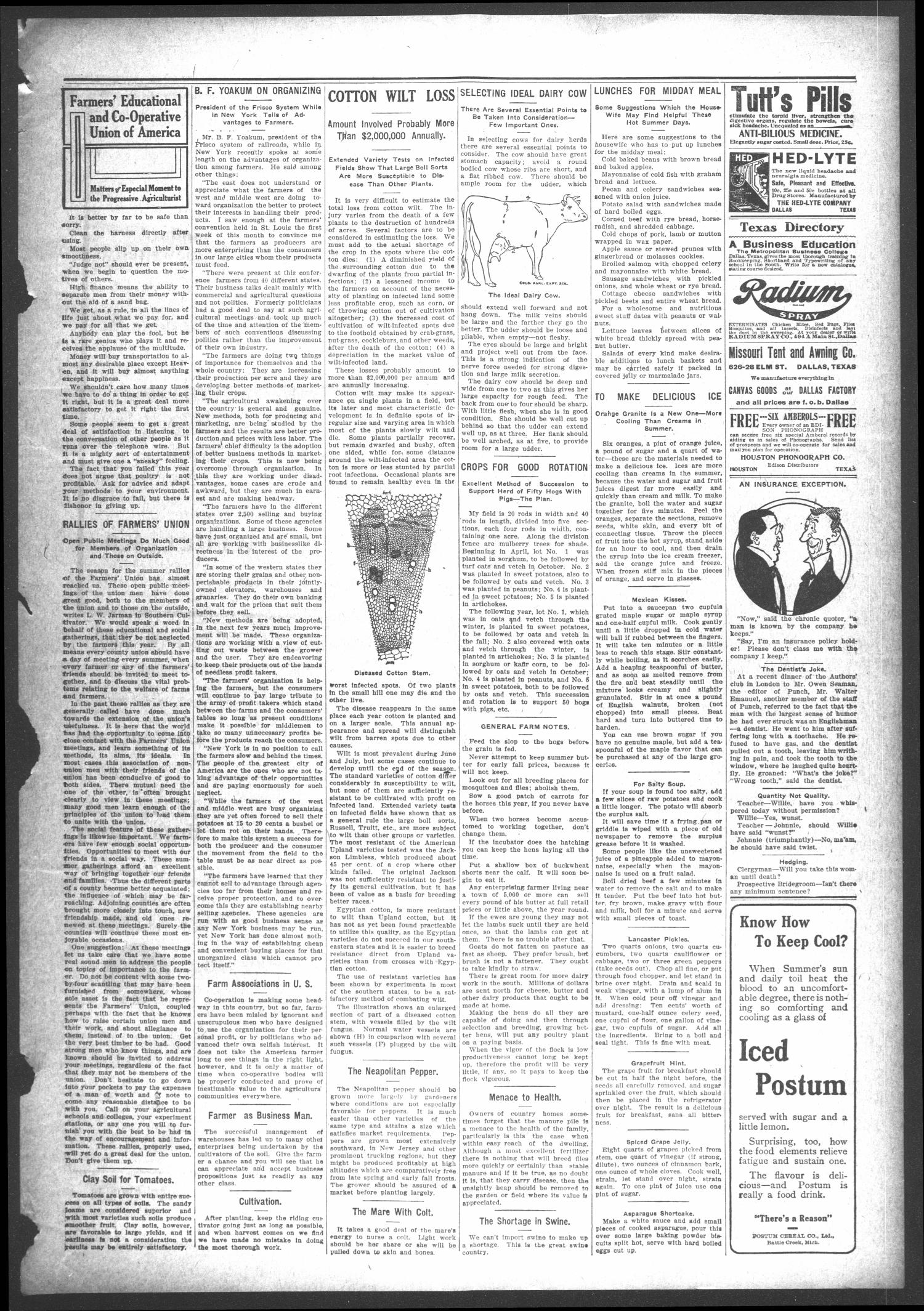The Atlanta News. (Atlanta, Tex.), Vol. 11, No. 1, Ed. 1 Thursday, August 18, 1910
                                                
                                                    [Sequence #]: 3 of 8
                                                
