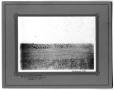 Photograph: [Cattle Roundup on Crews Brother Ranch]