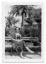 Photograph: [Photograph of Marie Burkhalter Sitting on Bench]