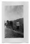 Photograph: [Photograph of Woman Standing on Hill]