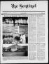Thumbnail image of item number 1 in: 'The Sentinel (Sachse, Tex.), Vol. 13, No. 23, Ed. 1 Wednesday, June 8, 1988'.