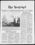 Newspaper: The Sentinel (Sachse, Tex.), Vol. 13, No. 50, Ed. 1 Wednesday, Decemb…