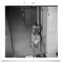 Primary view of Boxer dog sitting in a hallway