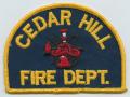 Physical Object: [Cedar Hill, Texas Fire Department Patch]